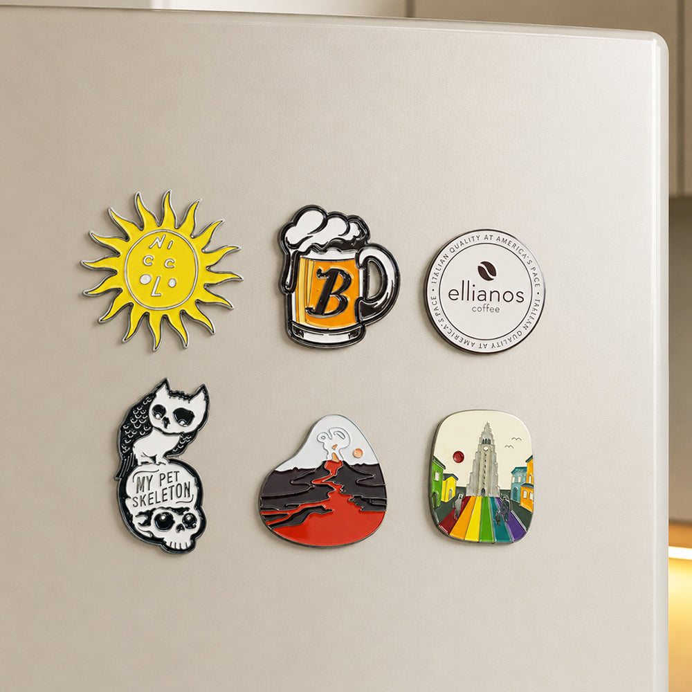 Premium metal fridge magnets, 6 assorted colorful creative enamel decorative designs attached on light fridge door